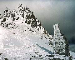 51874570_4730f70218_m